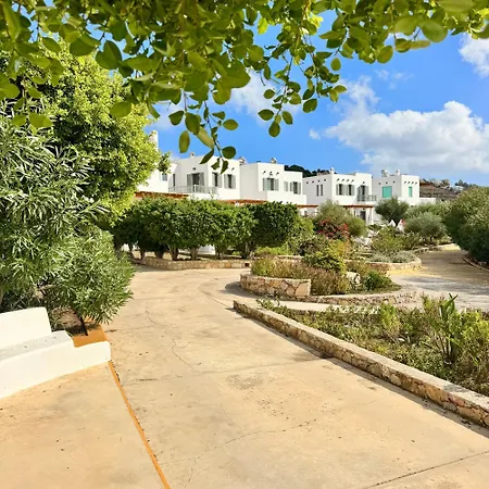 Niriedes