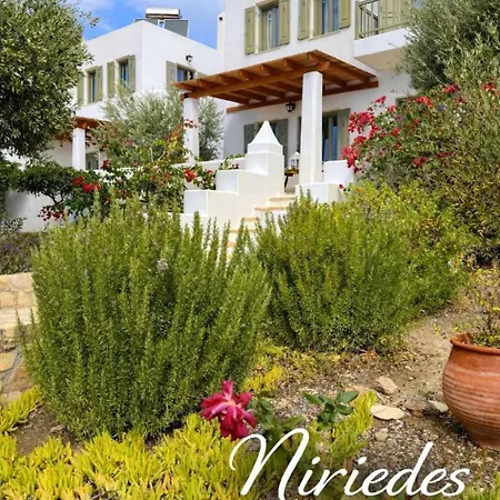 Niriedes İlipsi